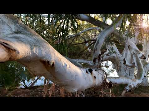 Mount Augustus National Park