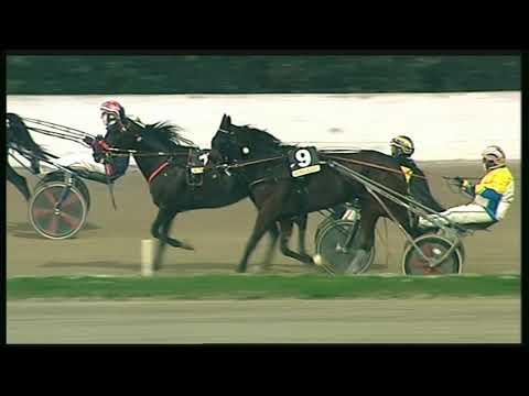 Trotto 08/11/2020 - 8ª corsa