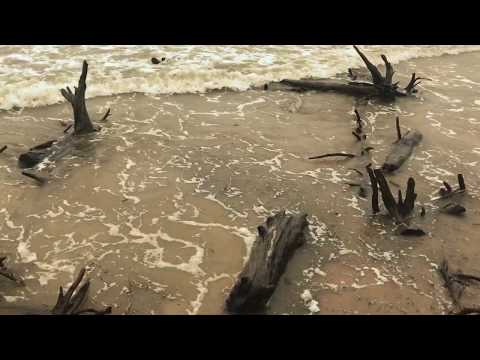 Marina Gribinčika. Miniatūra simfoniskajam orķestrim “Kolkas raga viļņi”.