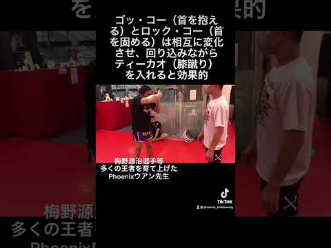 【首相撲】首を取った後の固め方、崩し、膝蹴りへの移行の具体例