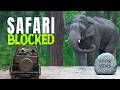 The Most Unexpected Safari In Dhikala Twist At The End 4K Video Hindi हिन्दी