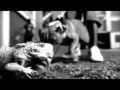 Daddy Yankee Ft Snoop Dogg Varios Artistas Gangsta Zone Remix