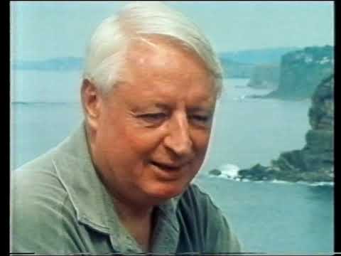 1993 AUSTRALIAN FEDERAL ELECTION