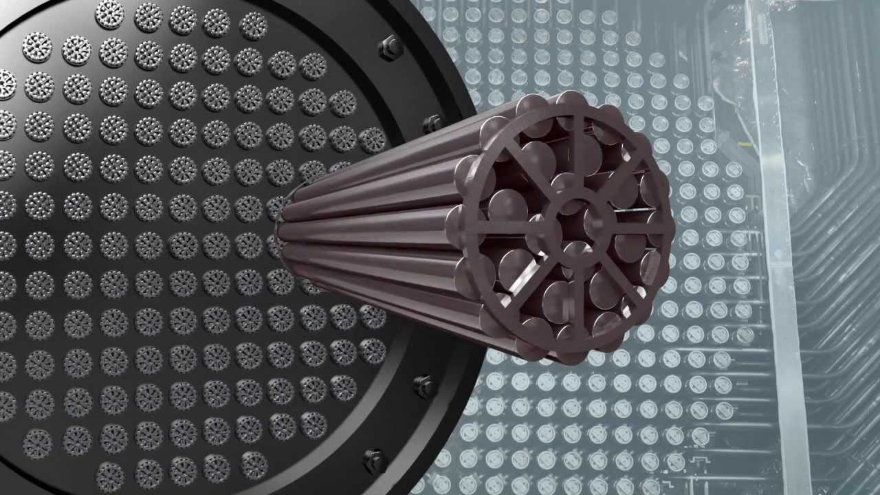 Nuclear Power Plant Safety Systems