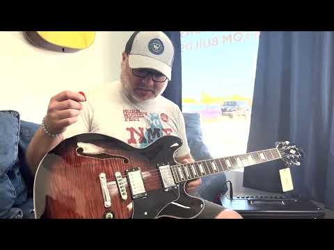 Brann Guitar Work Firefly Unboxing