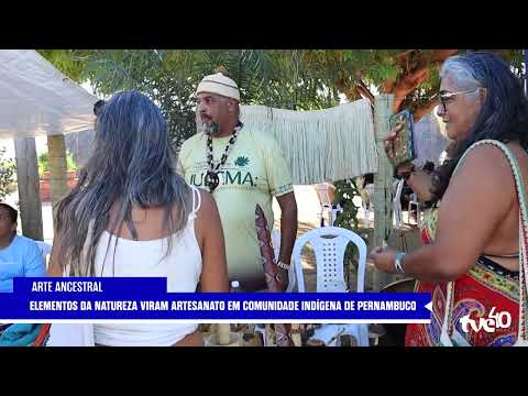 ARTESANATO INDÍGENA TRANSFORMA ELEMENTOS DA CAATINGA EM ARTE | TVE NOTÍCIAS 22/10/2026