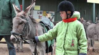 preview picture of video 'Zwergesel Vreni vom Eselpark Nessendorf'