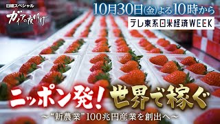 ガイアの夜明け【ニッポン発！世界で稼ぐ～“新農業”100兆円産業を創出へ～】予告