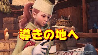 【MHW:IB】導きの地を気ままに遊ぶ