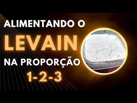 ALIMENTANDO O FERMENTO NATURAL (LEVAIN) NA PROPORÇÃO 1-2-3