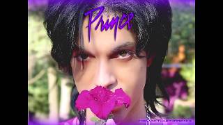 💜 TheSanctuaryOfPrince  💜 Prince 💜  Elephants &amp; Flowers 💜 Original 1988 💜