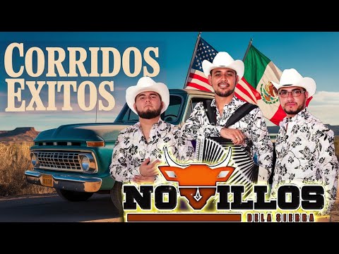 Novillos de la Sierra Mix 2025 ~ Puros Corridos Perrones 2025 ~ Música Que No Falla 💥