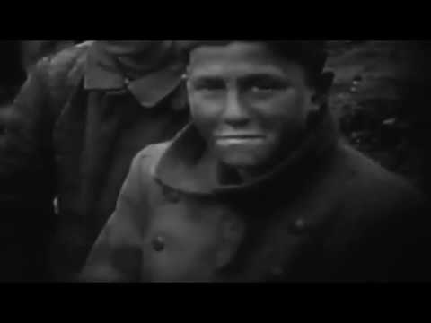 Die verschwiegene Geschichte Deutschlands nach 1945 - Other Losses