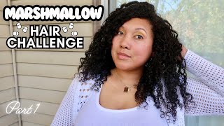 MARSHMALLOW CURLS for MOISTURE  + SOFTNESS | MAY MARSHMALLOW ROOT HAIR CHALLENGE | Ashkins Curls
