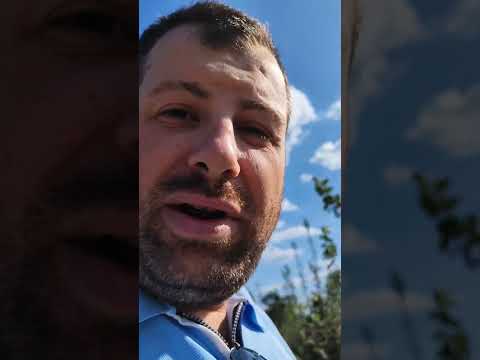 Gusta sadnja voća ( osnovni principi intezivnog zasada )