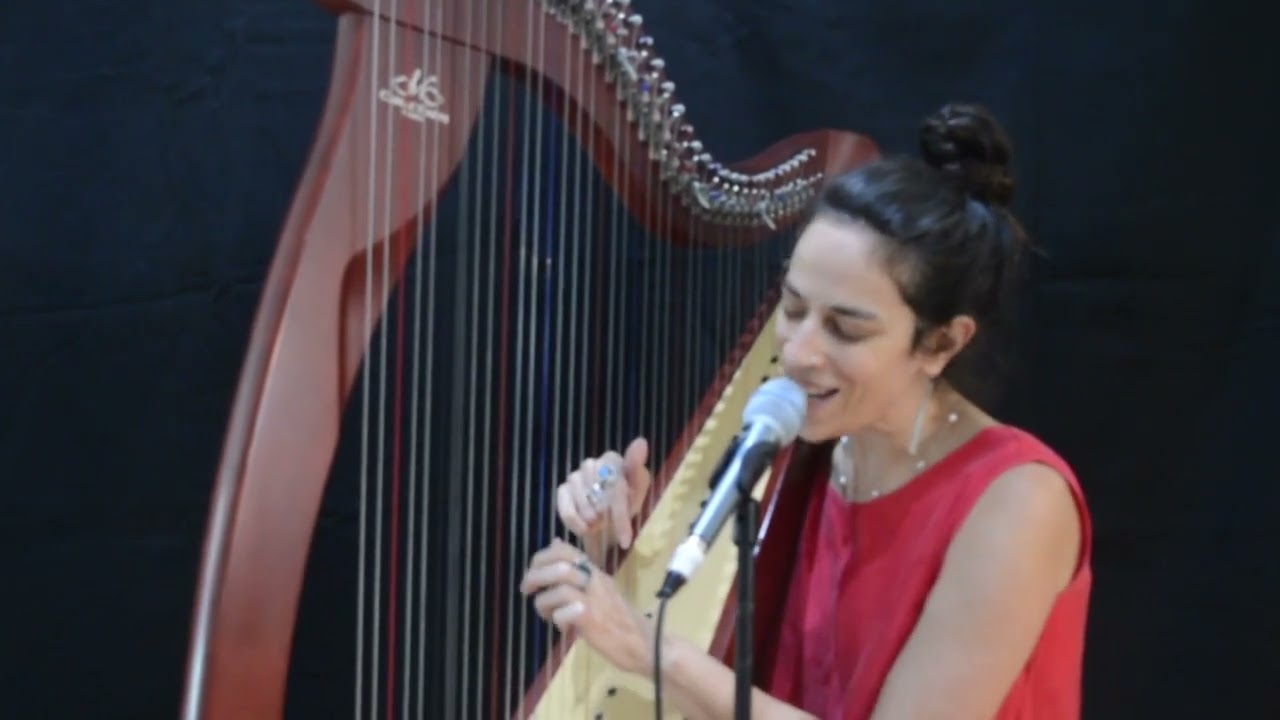 Promotional video thumbnail 2 for Kamila Harpist