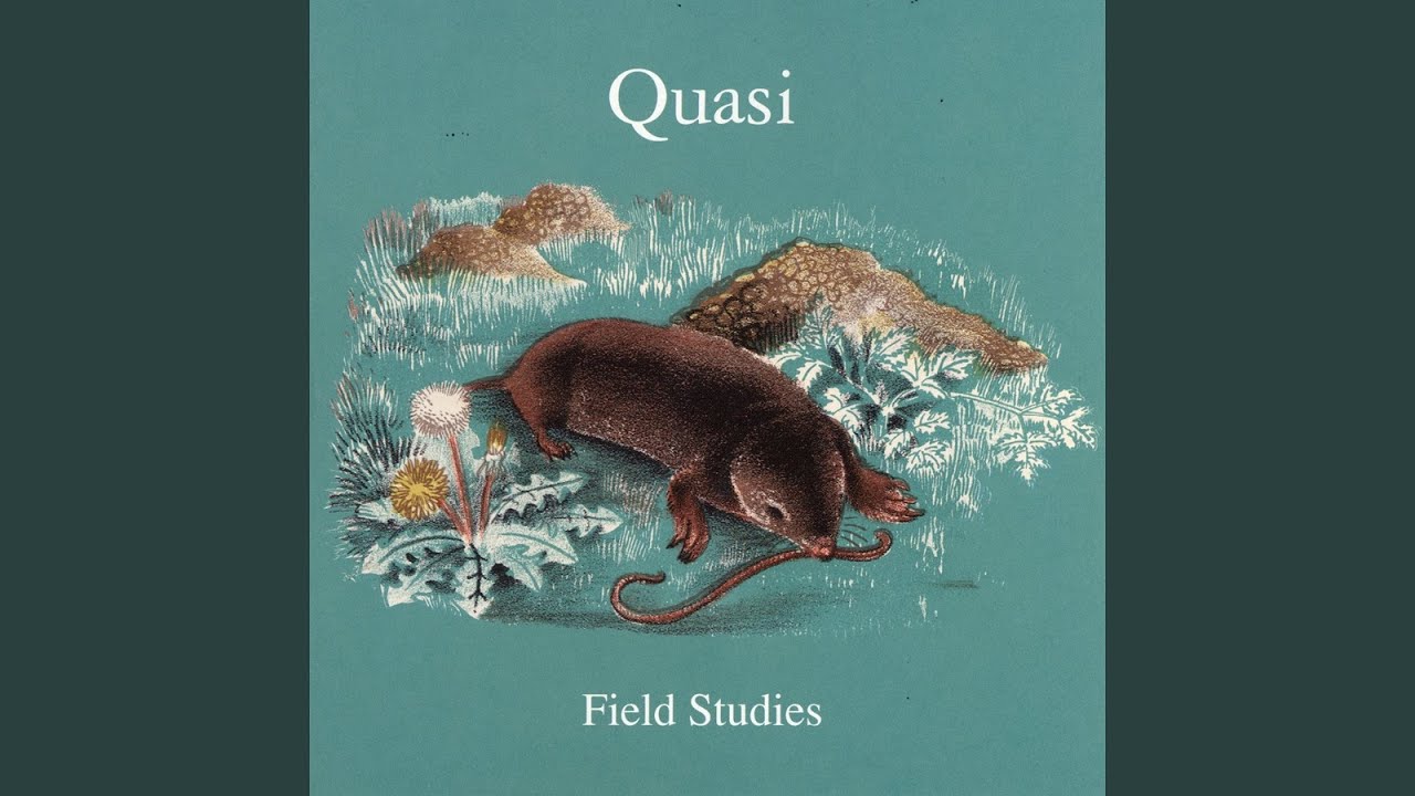 Quasi - A Fable with No Moral