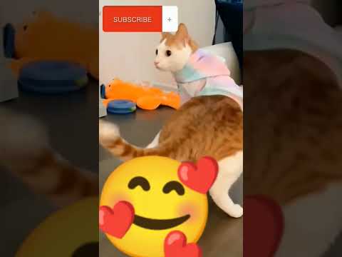 #viralvideo #youtubeshorts #shorts #shortvideo #trending #funny #foryou #nazmul