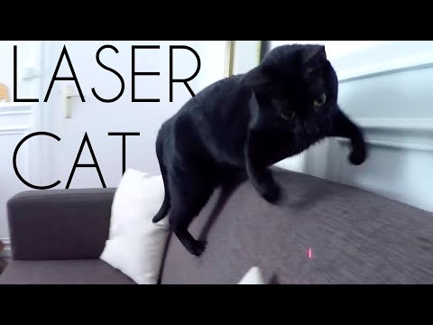 Laser Cat | Gopro | Feiyu G4S