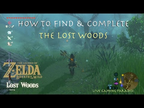 Breath of the Wild - Lost Woods The Hero's Sword