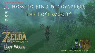 Breath of the Wild - Lost Woods The Hero's Sword
