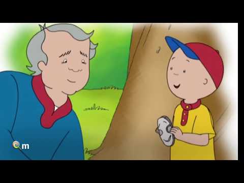 Caillou. Funny cartoon for kids