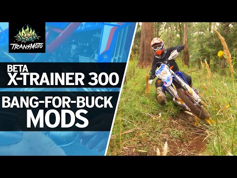 Beta X-Trainer 300: Bang-For-Buck Mods