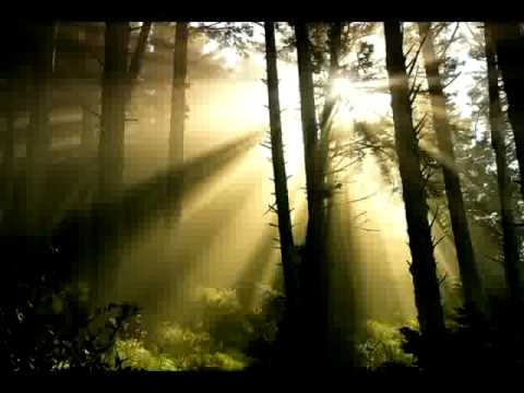 Junuh Sees The Field in Tennessee