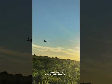 Drone T25 Feira da Mata Bahia