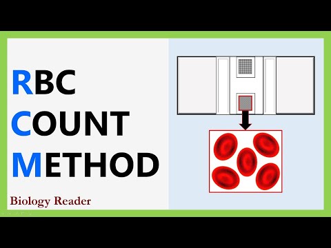 RBC Count Method - Requirements, Video, Procedure & Calculation - Biology Reader