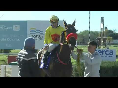 SINT COLONIA 230615 c03 - 1° CACHETUDA