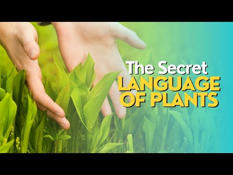The Secret Language of Plants