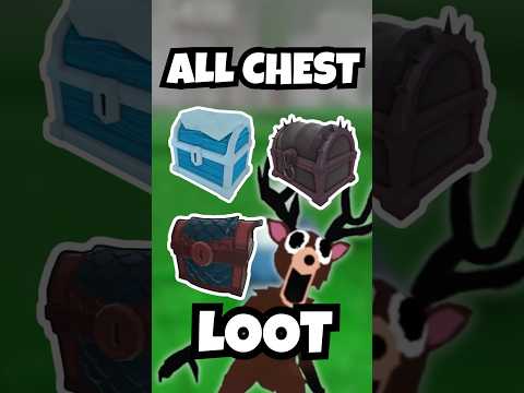 What’s Inside EVERY Chest? 🤯 Full Loot Reveal – 99 Nights in the Forest (UPDATED) - Roblox