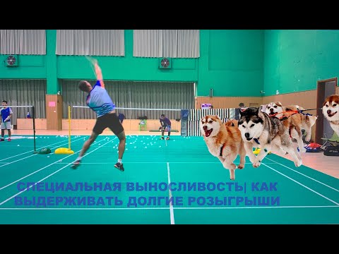 Специальная выносливость на корте