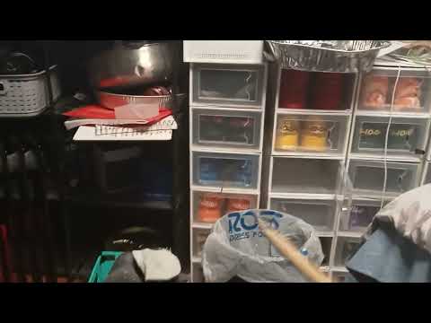 "OKAY ALL PUTTING DESPERATELY SEEKING SONIC EPISODE 58 2005 RIGHT NOW!!!" (2025)