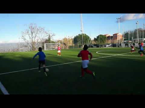 Albalonga Vs Lodigiani  6   0