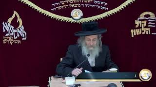 אידיש - הרב אלימלך בידרמן | גודל מעלת המצווה להתעסק בשידוכים - פרשת חיי שרה תשפ"ו / לשיעור בעברית👇🏻 (ארגון קול הלשון) - התמונה מוצגת ישירות מתוך אתר האינטרנט יוטיוב. זכויות היוצרים בתמונה שייכות ליוצרה. קישור קרדיט למקור התוכן נמצא בתוך דף הסרטון