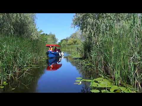 In Delta Dunarii,in satul Cardon,8.07.2016