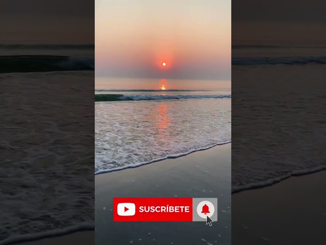 Vídeo relacionado con La resurrección de Cristo: Nuestra resurrección en la muerte: 17 (Alcance)