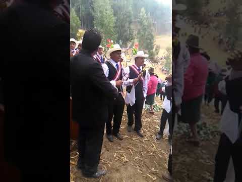 Negrito de chacas 2017