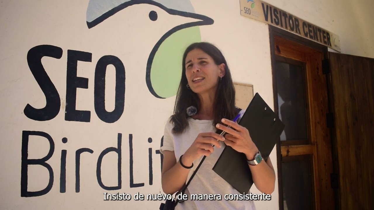 ¿Qué es ser voluntario en Riet Vell?