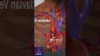 Pacemaker Insertion Procedure - Cardiac Treatment