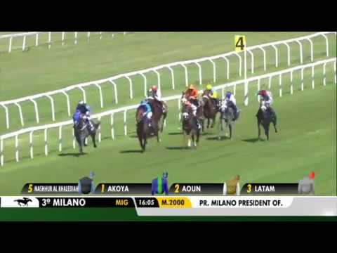 2019.06.23 Premio Milan President of The UAE Cup (ITA) - Akoya