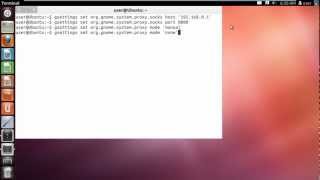 How to Set Proxy in Ubuntu