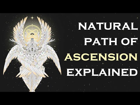 The Natural Path of Ascension In Shadow Slave Explained