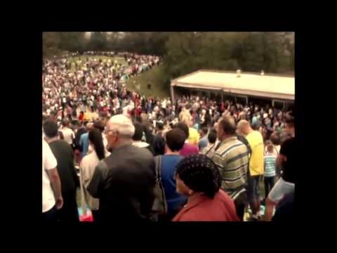 Anto Ilic - Gospa sa Kondzila // 2015