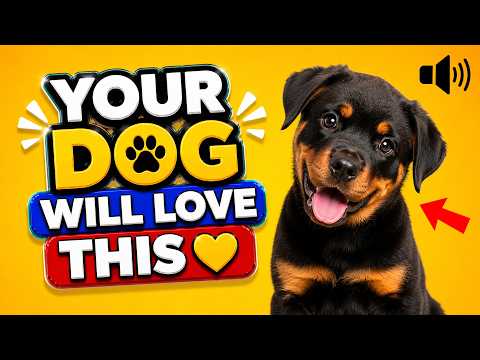 Your DOG Will LOVE Every One of These 10 Sounds 🐶