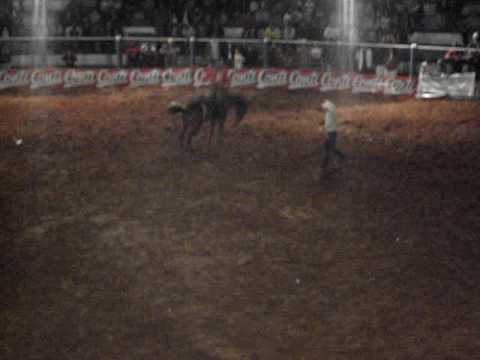 Final deodapolis 2008