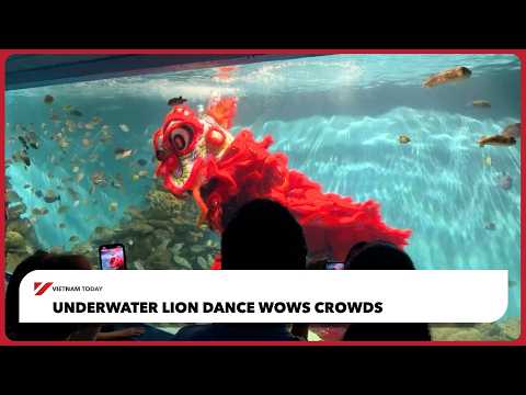 水下舞獅震撼登場！越南新聞報導 (Underwater lion dance wows crowds | Vietnam Today)