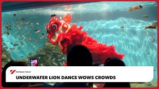 Underwater lion dance wows crowds | Vietnam Today